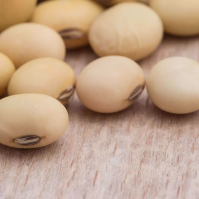 A soybean allergen is an adverse reaction by the body to proteins found in soybeans.