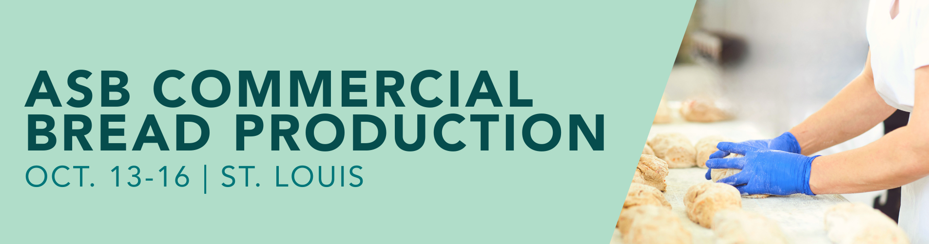 ASB Commercial Bread Production - page header_v2 Join the ASB Commercial Bread Production course for online learning and hands on training designed for baking professionals.