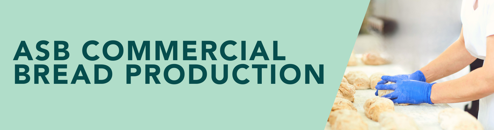ASB Commercial Bread Production - page header_no date Join the ASB Commercial Bread Production course for online learning and hands on training designed for baking professionals.
